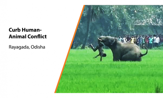 Help Protect Wild Animals in Odisha