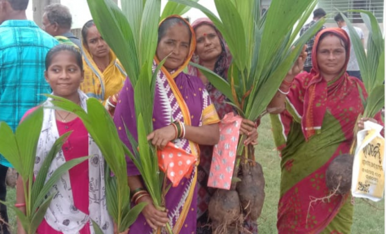 RCDC: Tree Plantation Campaign